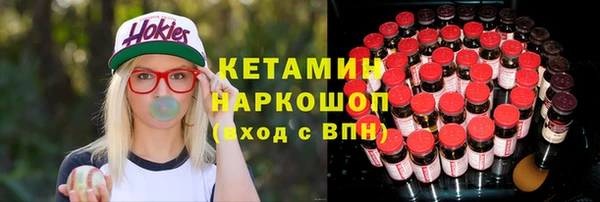 прущие грибы Горно-Алтайск