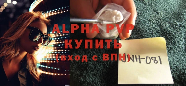 стафф Вяземский