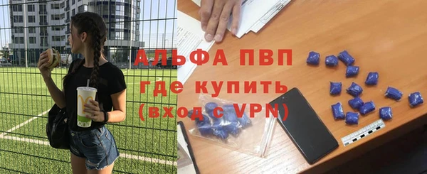 стафф Вяземский