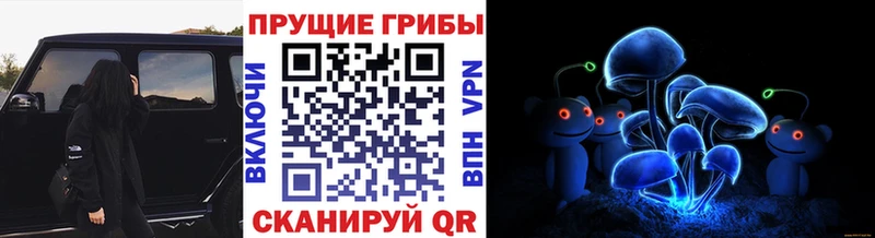 Псилоцибиновые грибы Magic Shrooms  Данков 